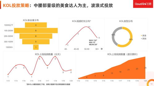 抖音赚钱与粉丝增长策略解析