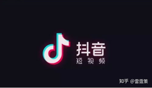 揭秘：如何查看他人抖音粉丝数量及详情？