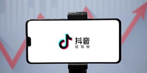 抖音粉丝号数据分析：掌握查看与解读粉丝数据的秘诀