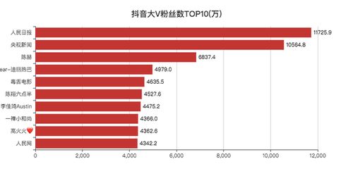 抖音粉丝点赞秘诀：揭秘粉丝点赞背后的秘密