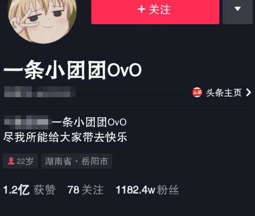 怎么查抖音的关注和粉丝