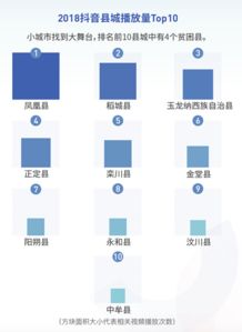 抖音提升浏览量与点赞的策略解析