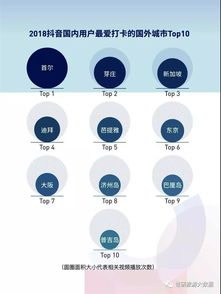 抖音粉丝移除技巧：如何高效处理不想要的关注者