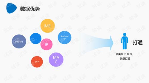 白鹿抖音粉丝名创意指南：如何取一个独特且吸引人的名字