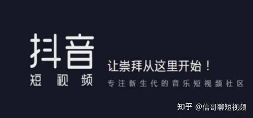 抖音粉丝数量增长秘诀：全方位解析与实操建议