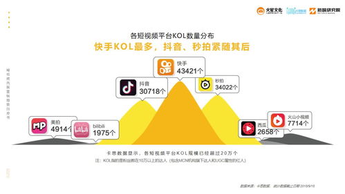 抖音增粉秘籍：掌握这些方法，让你粉丝数飙升！