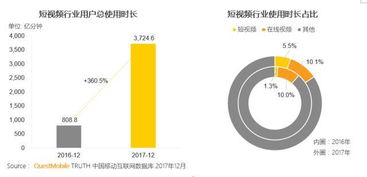 抖音粉丝取关时间揭秘：如何判断并调整策略