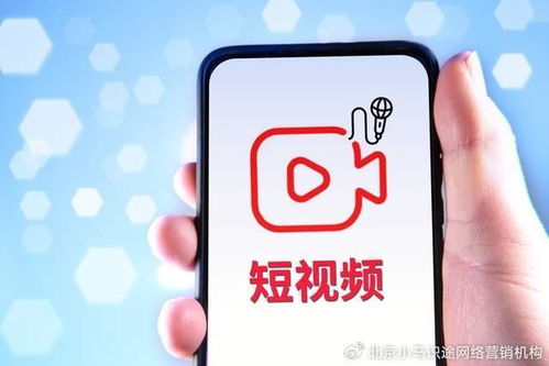 1万抖音粉丝如何成功转型：策略与技巧解析