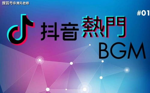 抖音粉丝取关查询方法，教你快速了解粉丝动态