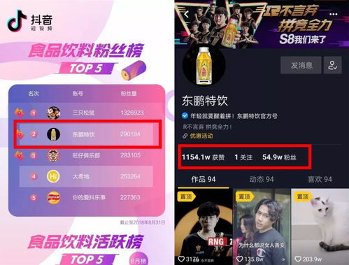 抖音粉丝增长秘诀：揭秘如何轻松打开粉丝增长的大门