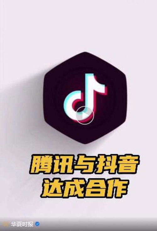 抖音粉丝推广策略全攻略：打造你的专属粉丝圈