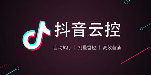 如何高效拓展抖音粉丝群：策略与技巧