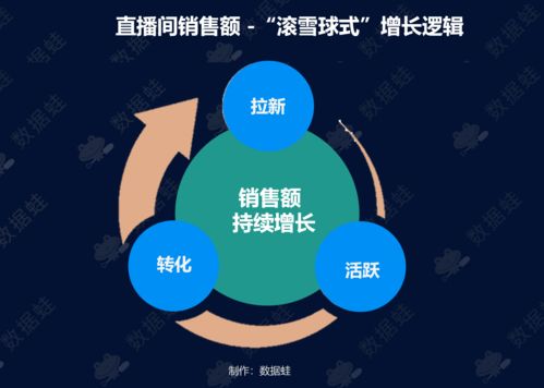 抖音五百粉丝直播带货攻略：突破粉丝限制，开启直播新篇章