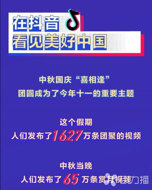 抖音设置中未显示粉丝数量？解决方法在此