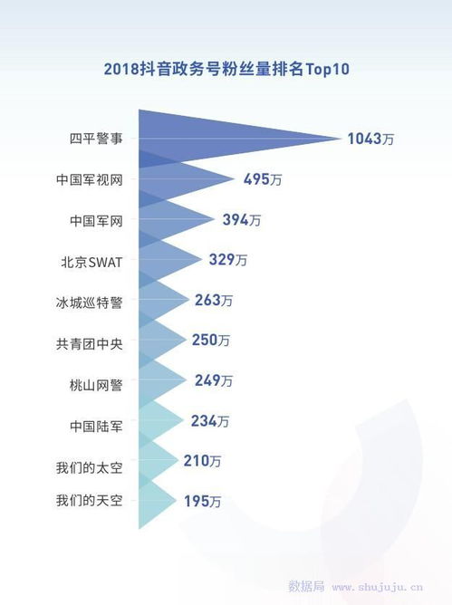 抖音粉丝分类：如何精准识别与定位你的粉丝群体