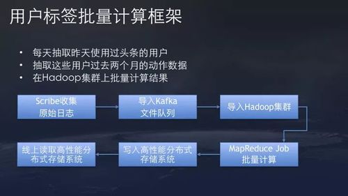 抖音新号涨粉攻略：如何快速增加抖音新号粉丝数量