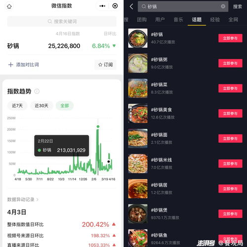 抖音粉丝增长秘籍：从0到10000+的实战指南