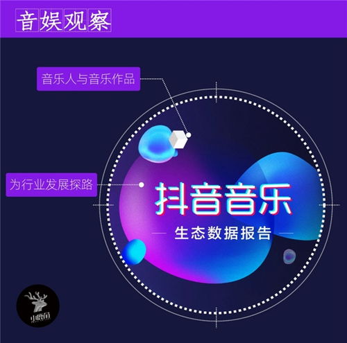 抖音上的粉丝怎么找