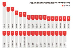 抖音粉丝增长秘籍：如何准确查询与提升粉丝数量