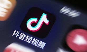 抖音粉丝量增长查询攻略