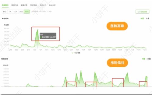 抖音粉丝管理：如何有效移除崽崽粉丝