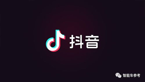 抖音粉丝排名变动原因与应对策略