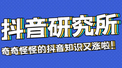 揭秘抖音仔仔涨粉秘籍：如何快速获得粉丝？