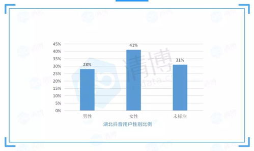 抖音快速增粉至1000粉的实用策略