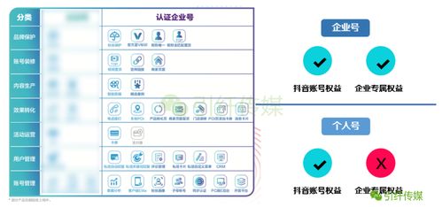 抖音粉丝营销号开通指南：一步步走向成功之路