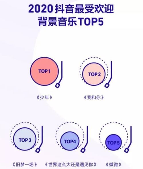 抖音老粉丝查找攻略：如何快速定位与回温往日关注