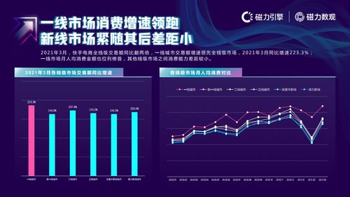 快手用户数量揭秘：有多少人和你一样热爱短视频？