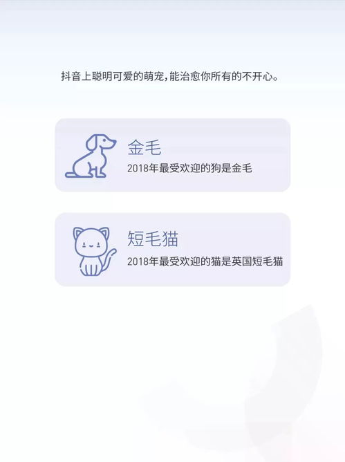 快手公章申请与获取流程详解