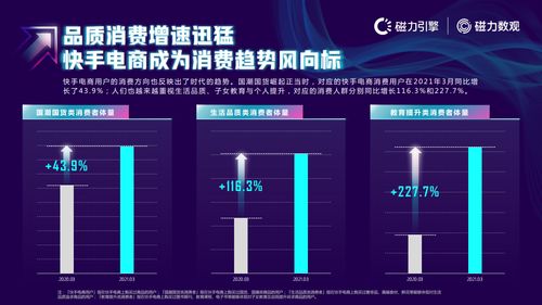 快手直播数据查看指南：如何轻松找到并解析关键数据