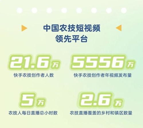 6万粉丝快手号估价：如何评估快手账号的价值？