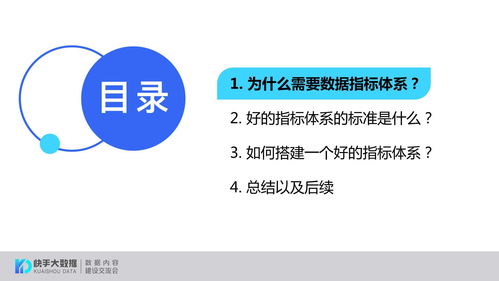 快手粉丝量与广告接洽标准探讨