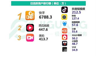 快手平台看点深度解析：内容、用户与社交新趋势