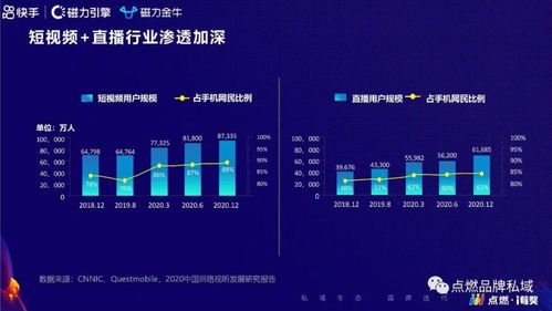 探究快手平台外国用户规模：国际化背后的数据分析