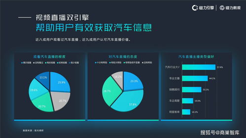 刘阳阳快手号搜索指南与相关信息解析