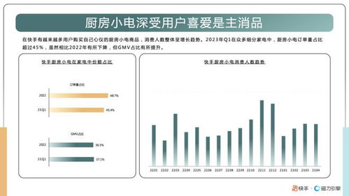 探究47级快手账号价格：影响因素与市场分析