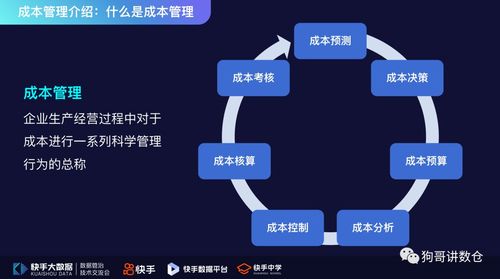 探寻赵强快手号：揭秘网络红人背后的快手身份