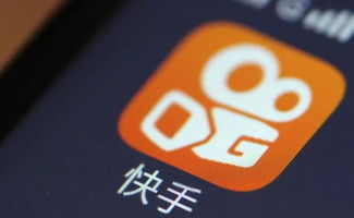 解密快手双击50下背后的含义与SEO优化策略