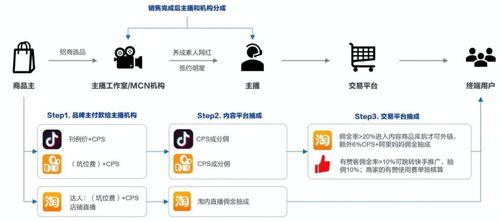 快手销售数据排名查看指南