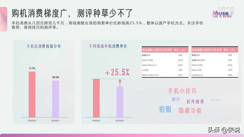 入驻快手小店费用详解：投入与回报的深度分析