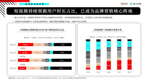 快手达人佣金揭秘：收益与策略并行解析