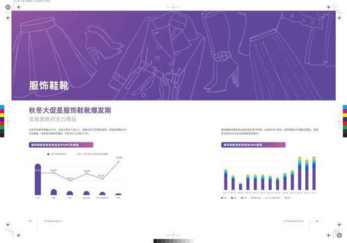 快手电商占比多少合适？深入探讨电商与平台的平衡发展