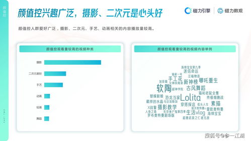 快手网红卖货收益揭秘：网红经济下的利润与成本