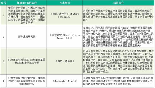 西瓜视频 和头条 展现