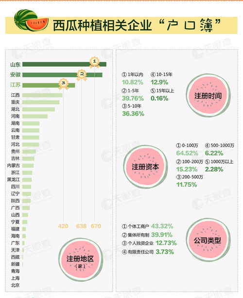 今日头条展现与播放量比例解析