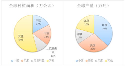 今日头条160万展现量少，如何提升内容曝光率？