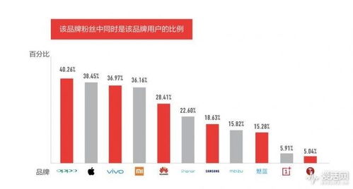 今日头条图虫收藏：图片收藏策略与SEO优化技巧